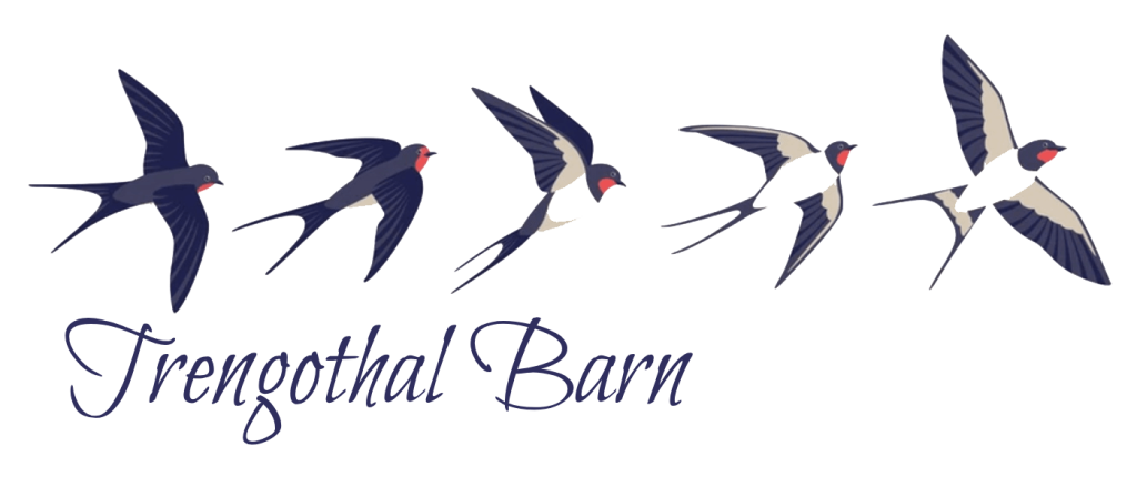 logo showing coloured drawing of swallows with caption Trengothal Barn