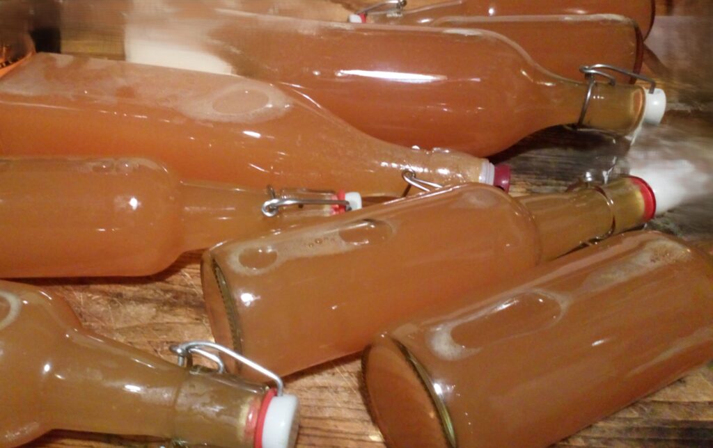 Apple Juice workshops